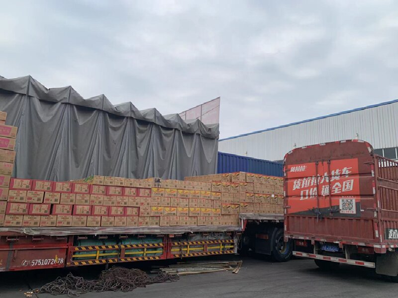 溫州到濟南市中區物流公司