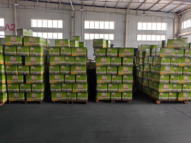 溫州到應城貨運公司