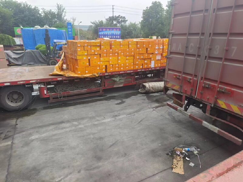 溫州到正陽縣物流公司